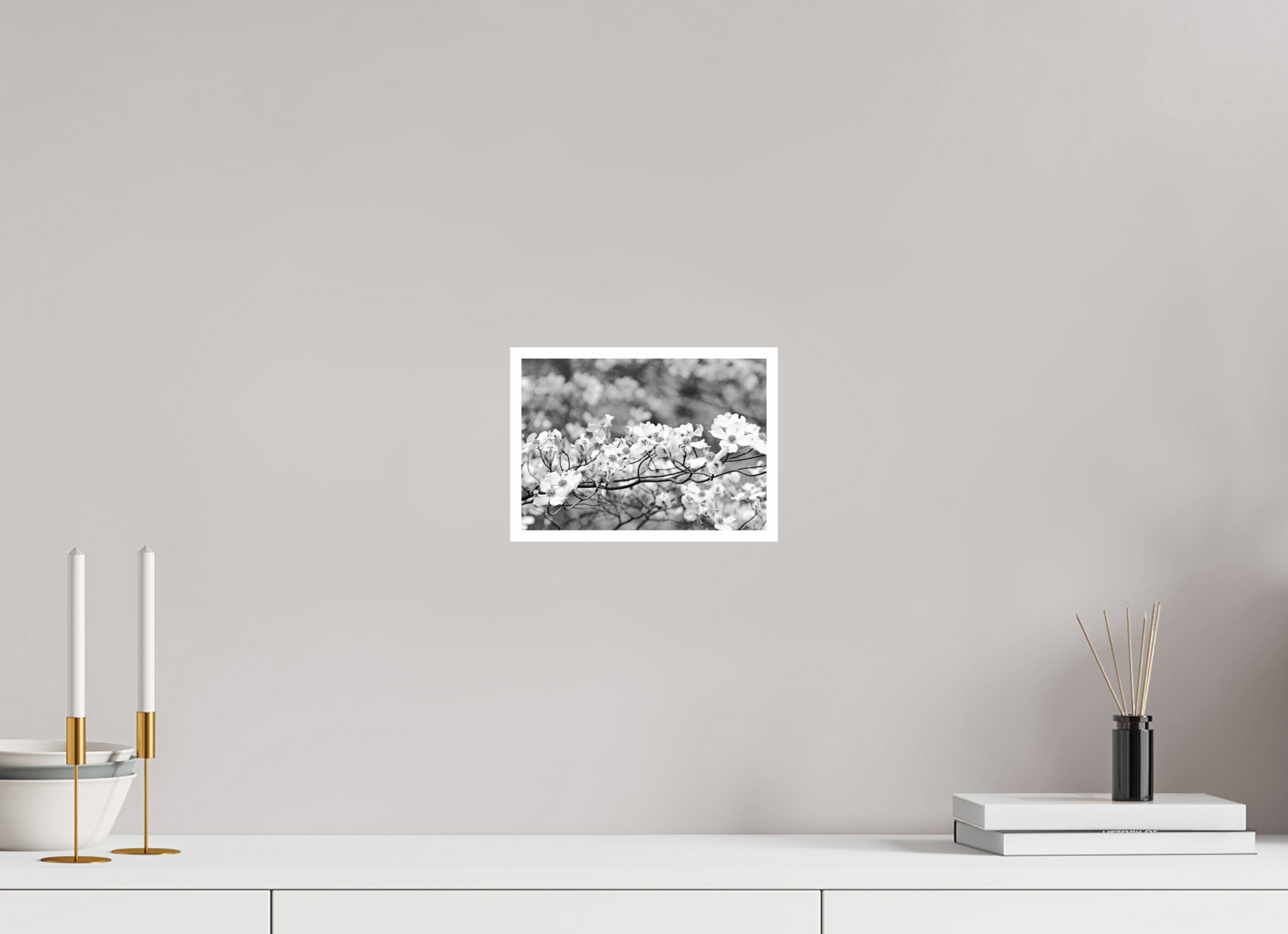 8.5 x 6″, B&W Print .39 Border Dogwood Outside my window