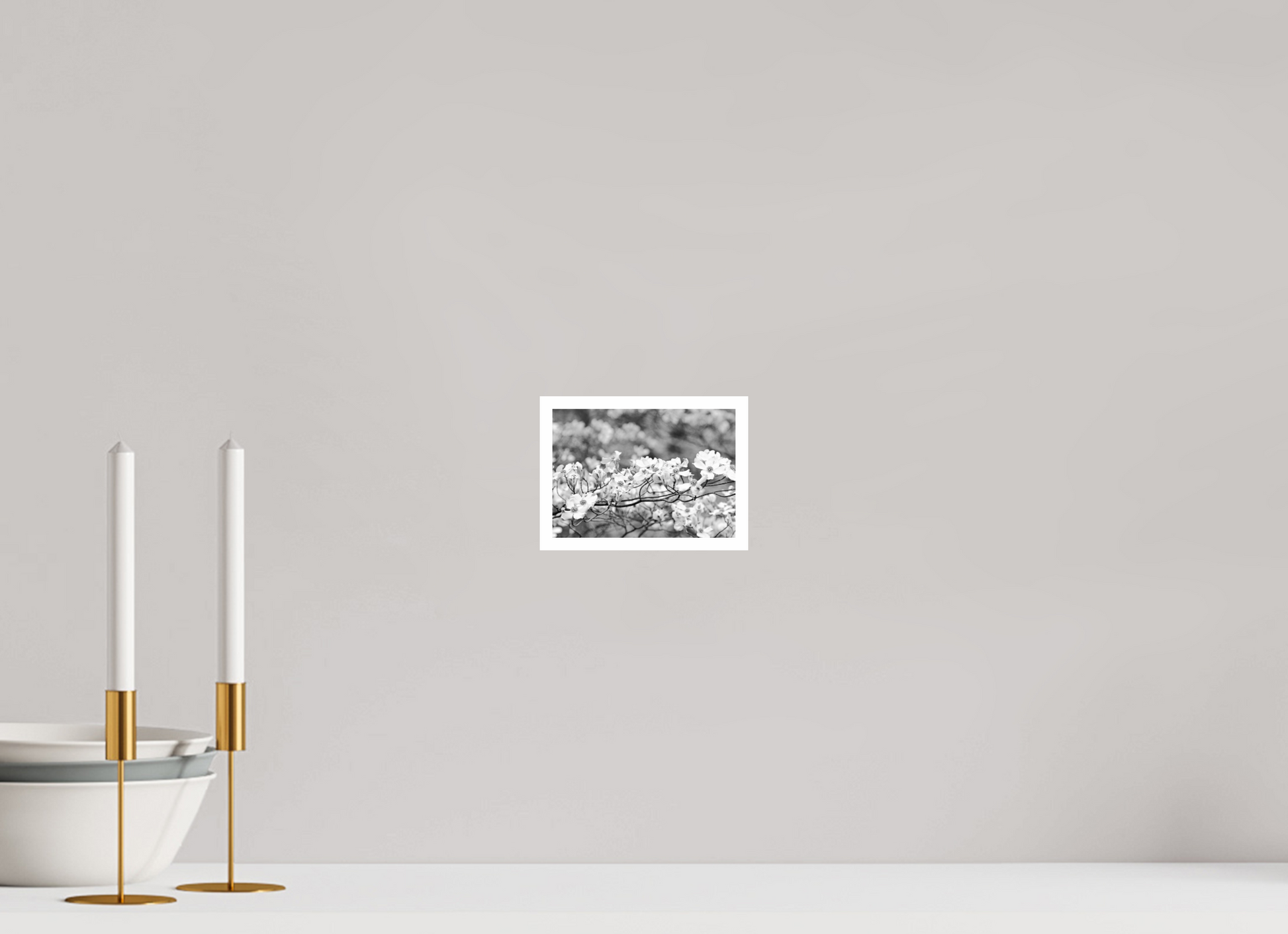 5.7 x 4″, B&W Print .39 Border Dogwood Outside my window