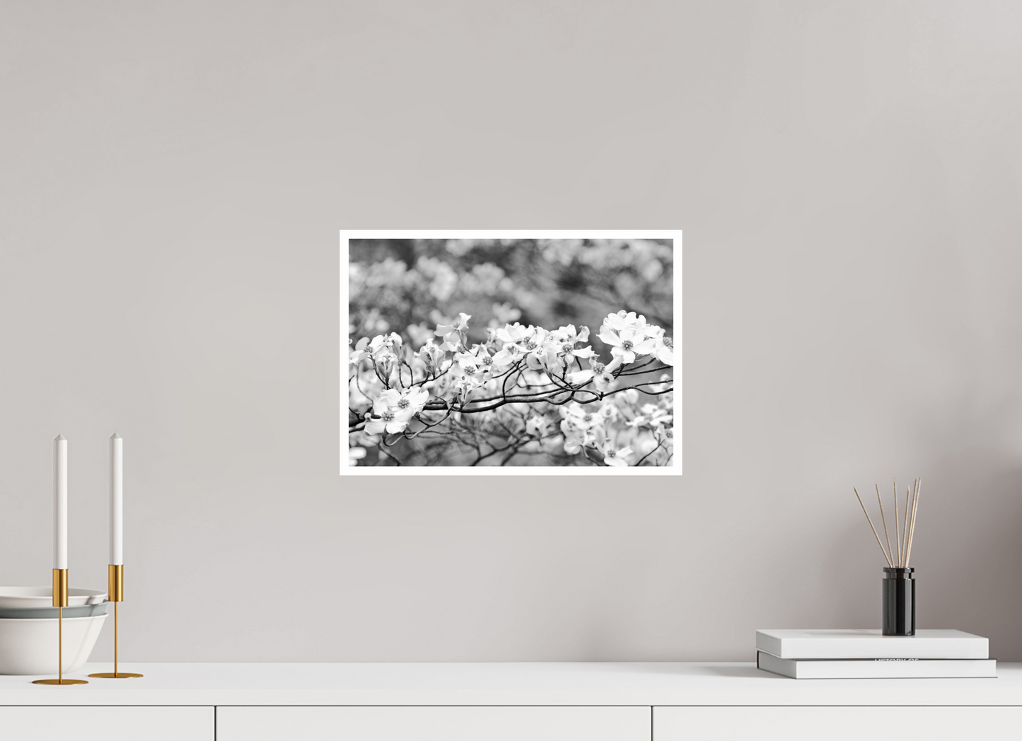 14.3 x 10″, B&W Print .39 Border Dogwood Outside my window
