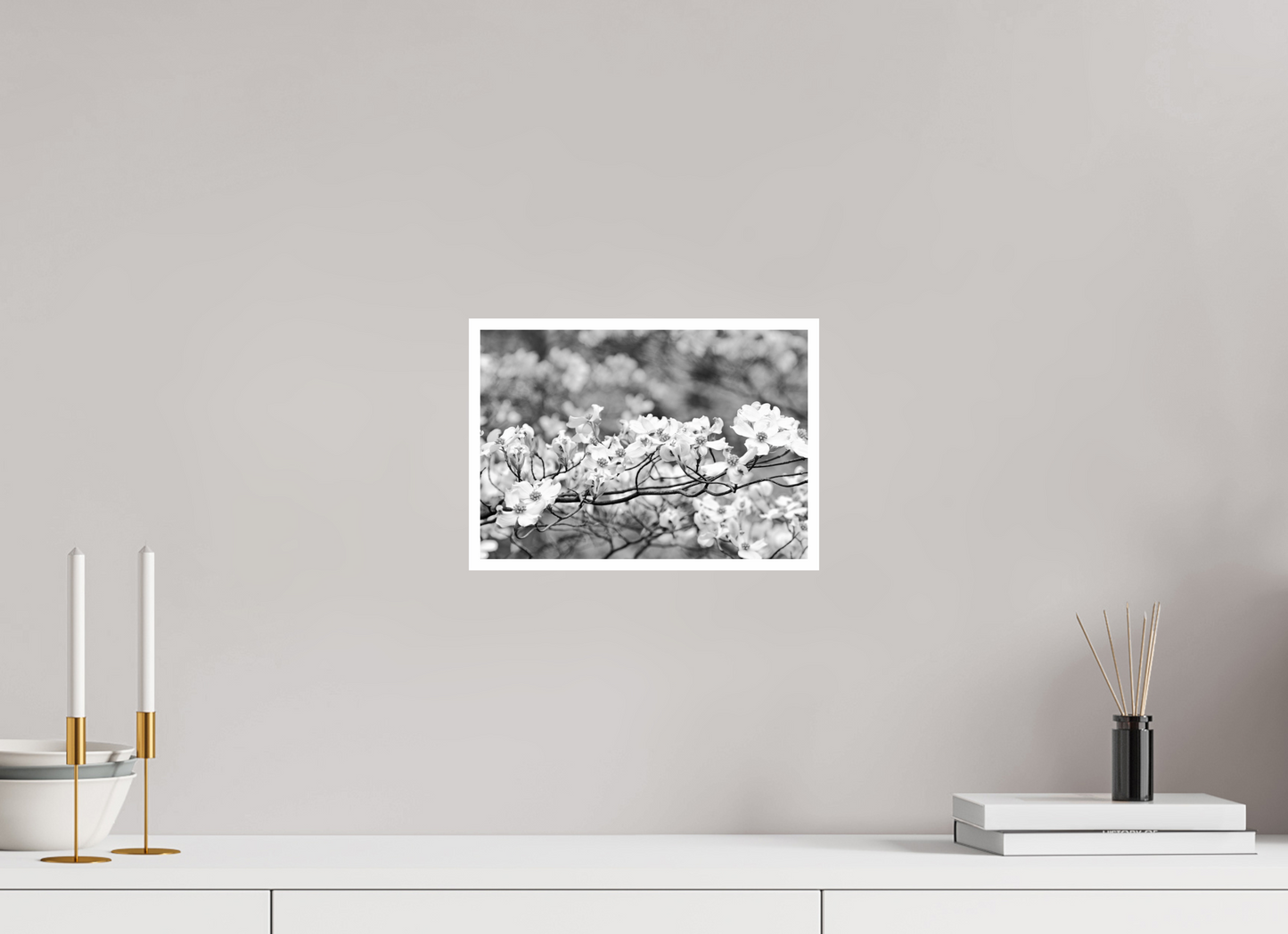 11.4 x 8″, B&W Print .39 Border Dogwood Outside my window