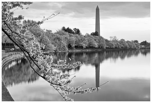 Main image Washington DC