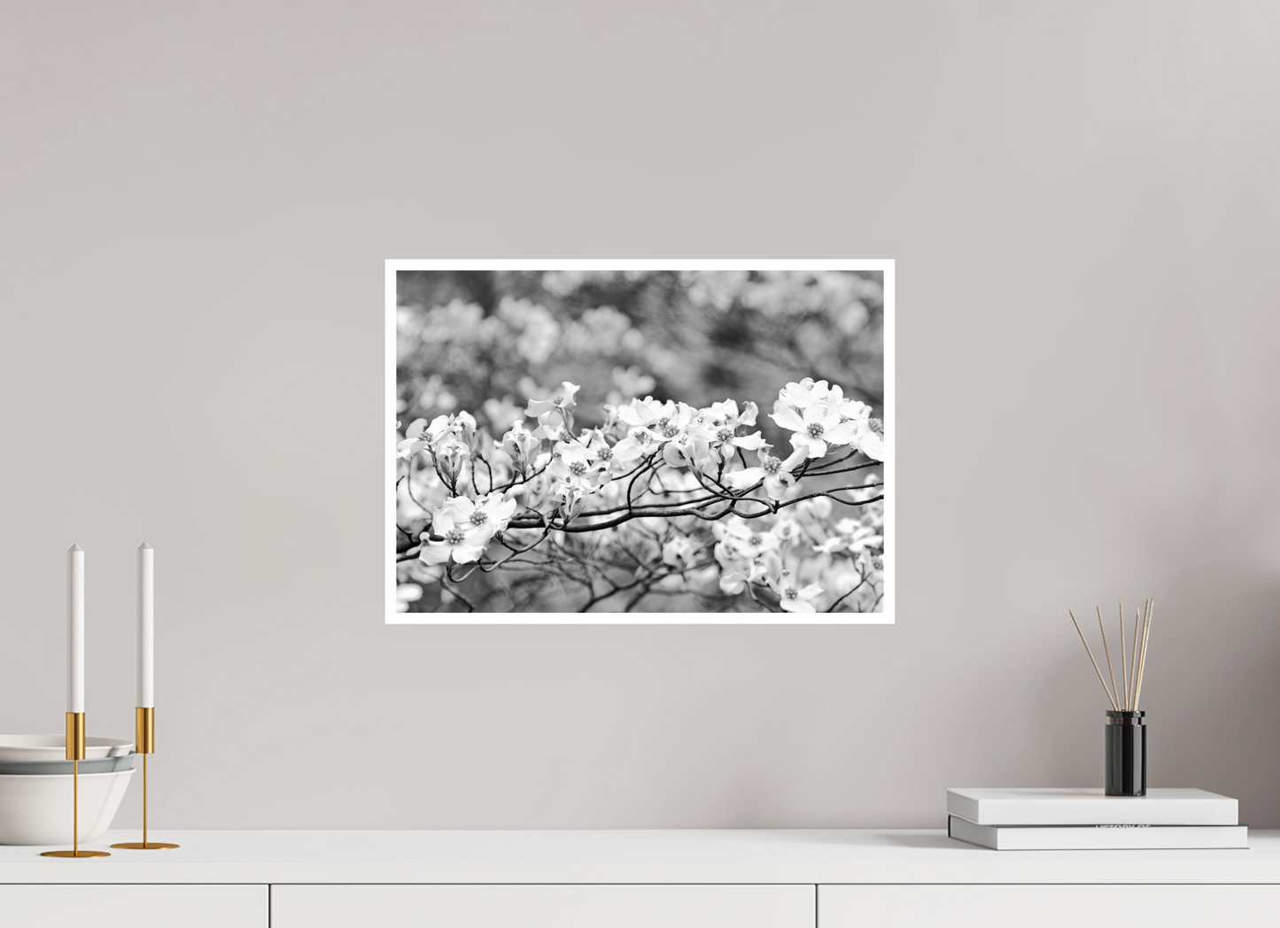 17.1 x 12″, B&W Print .39 Border Dogwood Outside my window
