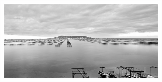 Main image Languedoc Oyster Farm